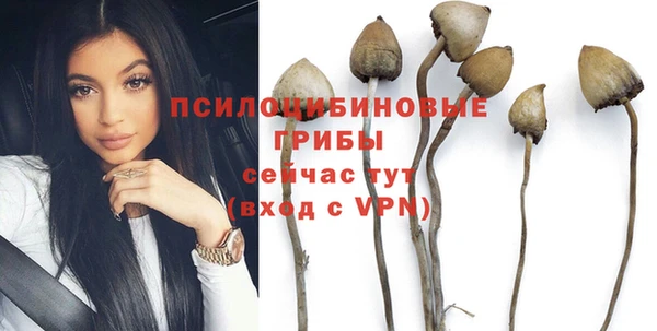 прущие крисы Зерноград