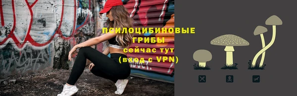 МДПВ Зеленодольск