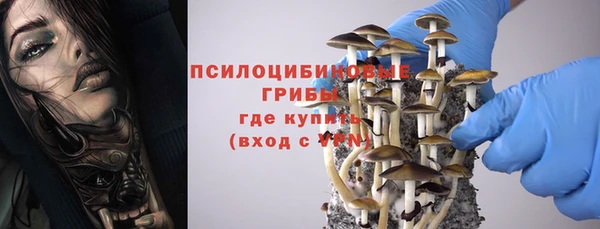 прущие крисы Зерноград