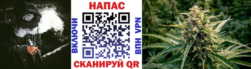Канабис семена  Купить закладки  Оленегорск 